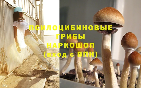 индика Верхнеуральск